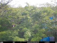 May 29 2025  6:34:21, #01