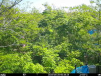 May 29 2025  9:34:21, #01