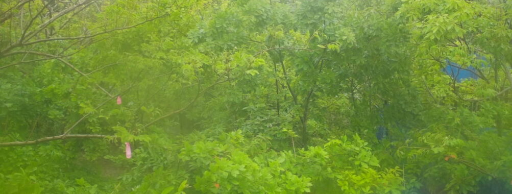 May 31 2025  9:34:21, #01