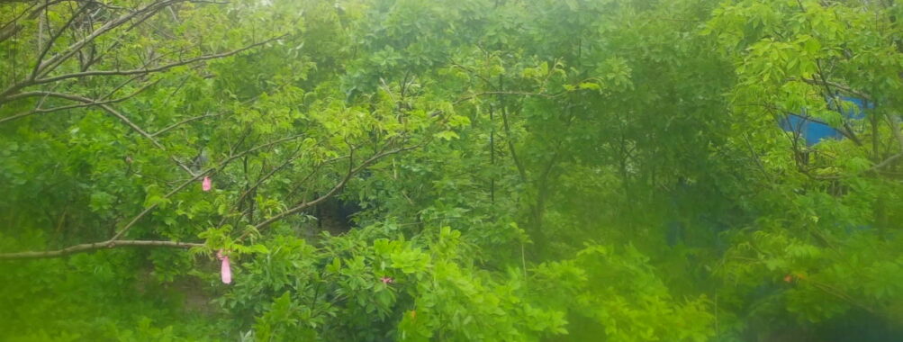 May 31 2025 12:34:21, #01
