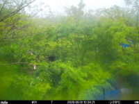 May 31 2025 12:34:21, #01