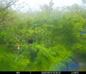 May 31 2025 12:34:21, #01