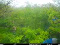 May 31 2025 15:34:21, #01
