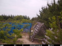Jun 10 2025 14:59:09, #01