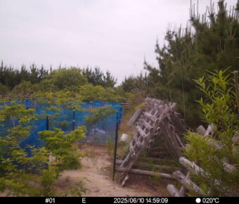 Jun 10 2025 14:59:09, #01
