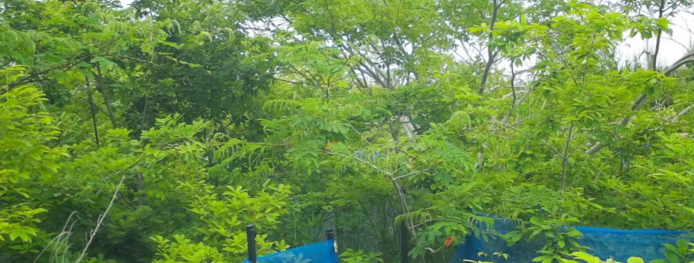 Jun 10 2025 15:00:32, #01