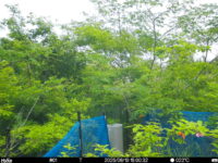 Jun 10 2025 15:00:32, #01