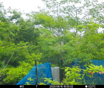 Jun 10 2025 15:00:32, #01