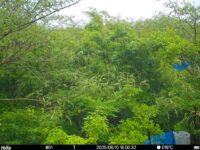 Jun 10 2025 18:00:32, #01