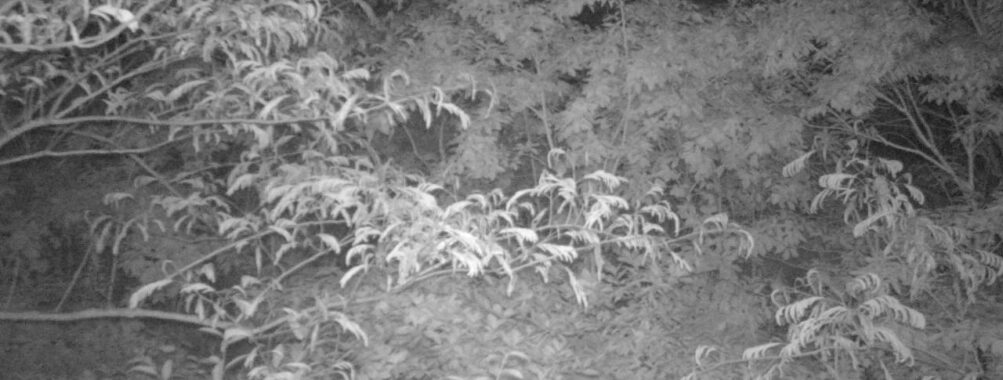 Jun 10 2025 21:00:32, #01