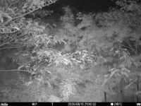 Jun 10 2025 21:00:32, #01
