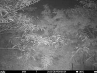 Jun 11 2025  0:00:30, #01