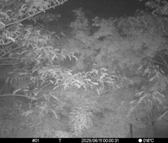 Jun 11 2025  0:00:30, #01