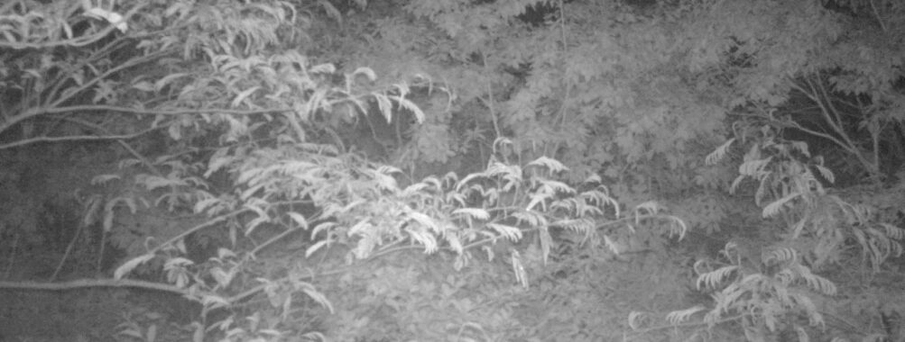 Jun 11 2025  3:00:31, #01
