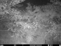 Jun 11 2025  3:00:31, #01