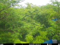 Jun 11 2025  6:00:31, #01