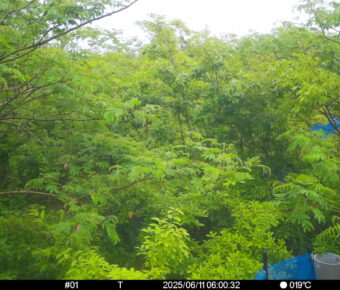 Jun 11 2025  6:00:31, #01
