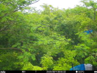 Jun 11 2025  9:00:32, #01