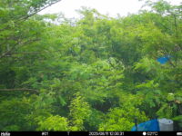 Jun 11 2025 12:00:31, #01