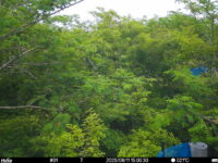 Jun 11 2025 15:00:30, #01