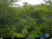 Jun 11 2025 18:00:31, #01