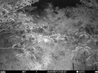 Jun 11 2025 21:00:32, #01