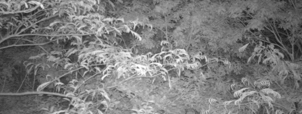 Jun 12 2025  0:00:30, #01