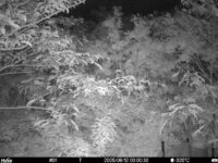 Jun 12 2025  0:00:30, #01