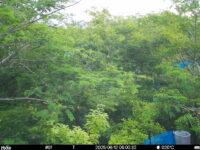 Jun 12 2025  6:00:31, #01