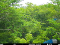 Jun 12 2025  9:00:32, #01