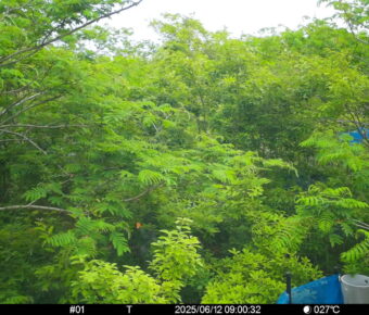 Jun 12 2025  9:00:32, #01