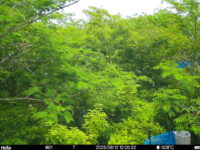 Jun 12 2025 12:00:32, #01