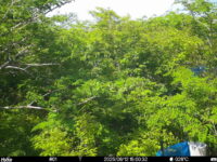 Jun 12 2025 15:00:32, #01