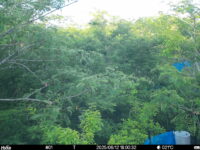 Jun 12 2025 18:00:32, #01