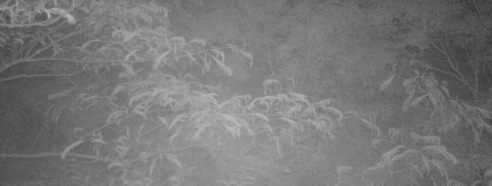 Jun 13 2025  0:00:30, #01