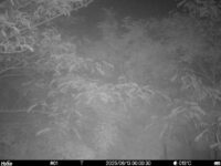 Jun 13 2025  0:00:30, #01