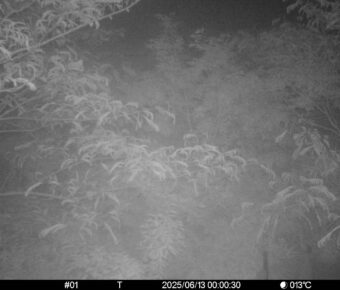 Jun 13 2025  0:00:30, #01
