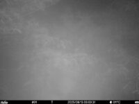 Jun 13 2025  3:00:31, #01