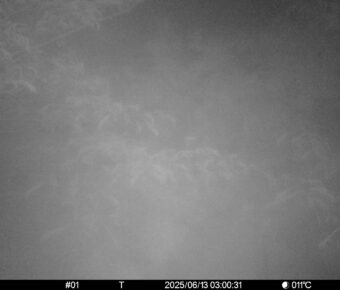 Jun 13 2025  3:00:31, #01