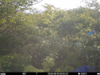 Jun 13 2025  6:00:31, #01