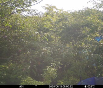 Jun 13 2025  6:00:31, #01