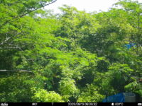 Jun 13 2025  9:00:32, #01