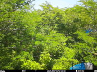 Jun 13 2025 12:00:31, #01