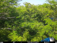 Jun 13 2025 15:00:31, #01