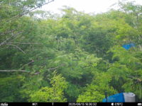 Jun 13 2025 18:00:32, #01
