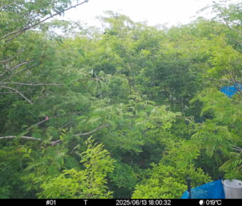 Jun 13 2025 18:00:32, #01