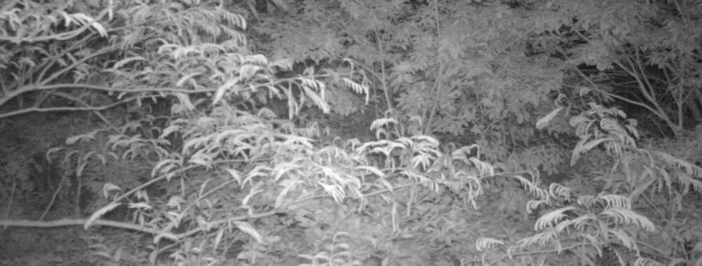 Jun 13 2025 21:00:32, #01