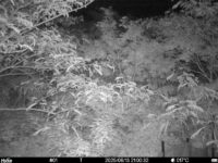 Jun 13 2025 21:00:32, #01