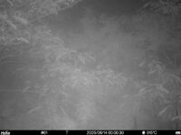 Jun 14 2025  0:00:30, #01