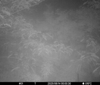 Jun 14 2025  0:00:30, #01